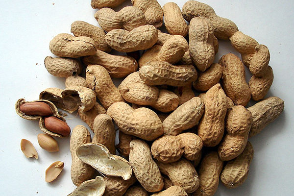 Oral Immunotherapy Induces Remission of Peanut Allergy in Some Young Children